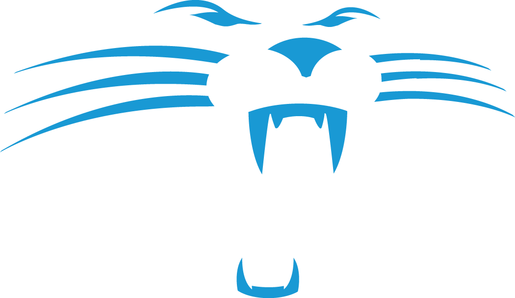 Carolina Panthers 1995-2011 Alternate Logo t shirts DIY iron ons v3